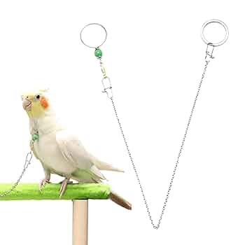 未使用品◎ヴェルサーチ スカーフ 大判ハンカチ インコ オウム 鳥 未使用品◎ヴェルサーチ スカーフ 大判ハンカチ インコ オウム